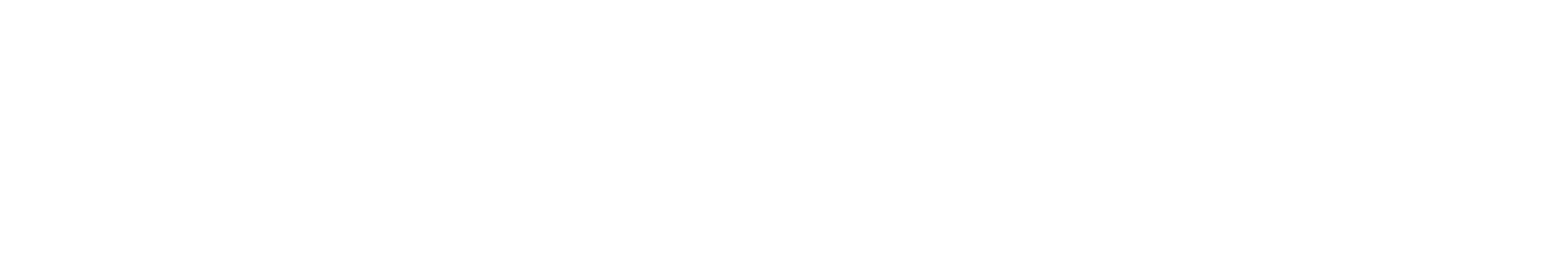 LionFit